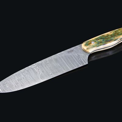 Stainless Damascus Gyuto Chef Knife with Mammoth Ivory Handle 